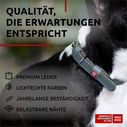 WAUDOG Long Lasting Leather Dog Collar for Large Dogs Medium & Small Dogs