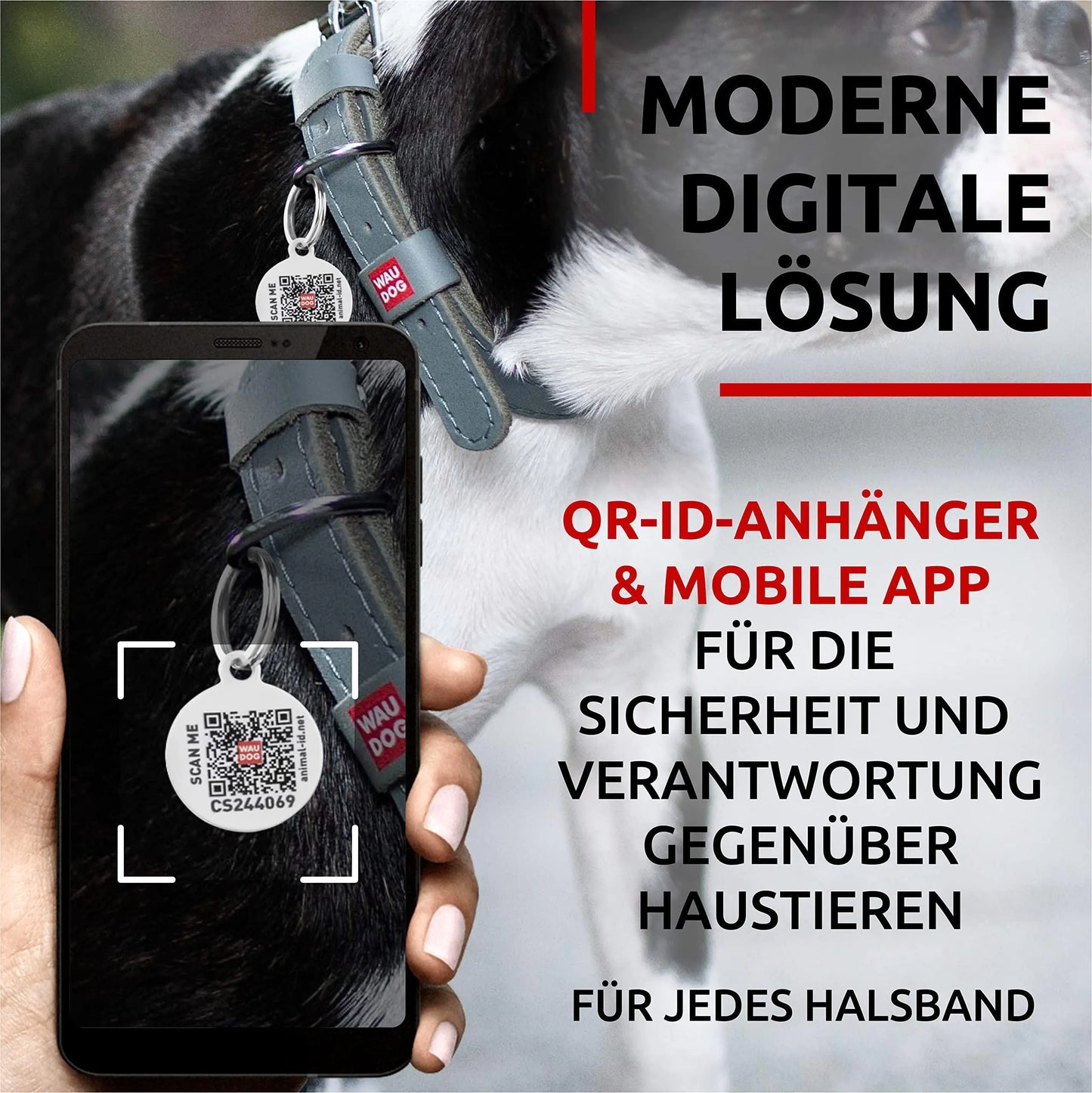 WAUDOG Long Lasting Leather Dog Collar for Large Dogs Medium & Small Dogs