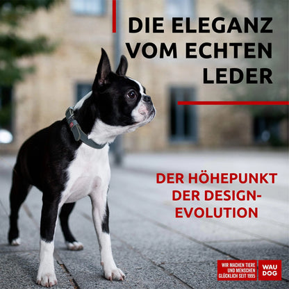 WAUDOG Long Lasting Leather Dog Collar for Large Dogs Medium & Small Dogs