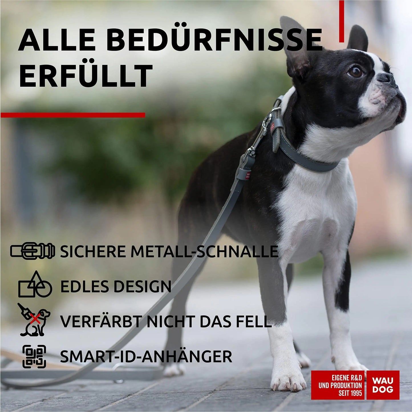 WAUDOG Long Lasting Leather Dog Collar for Large Dogs Medium & Small Dogs