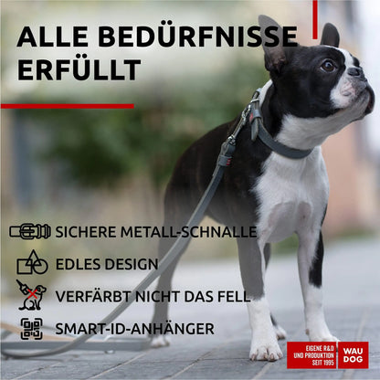 WAUDOG Long Lasting Leather Dog Collar for Large Dogs Medium & Small Dogs